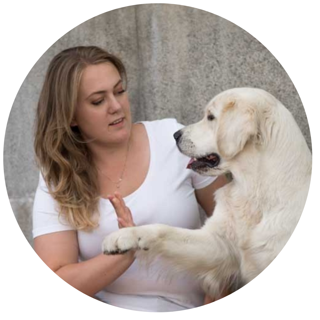 Oslo Hundefoto